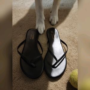 Lauren Conrad size 10 flip flops